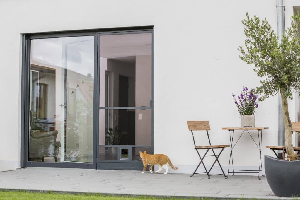 Insektenschutztür mit Katzenklappe